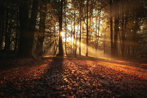 Autunno